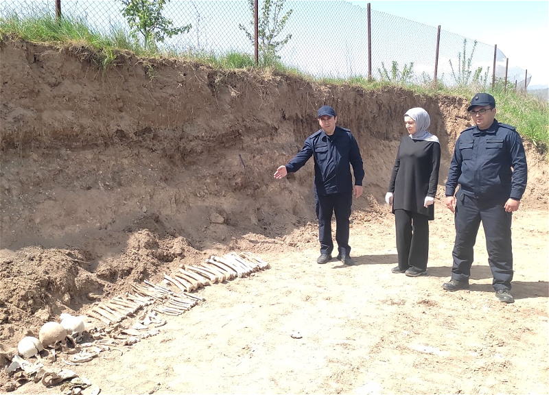 Фрагменты костей, обнаруженные в Ходжалы, принадлежат как минимум 8 лицам - ФОТО - ОБНОВЛЕНО