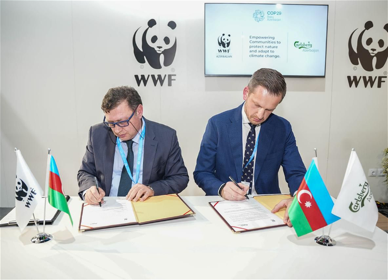 Carlsberg Azerbaijan и WWF-Azerbaijan подписали меморандум о взаимопонимании - ФОТО