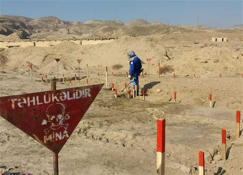 Azad edilmiş ərazilərdə aşkarlanan minaların sayı açıqlanıb