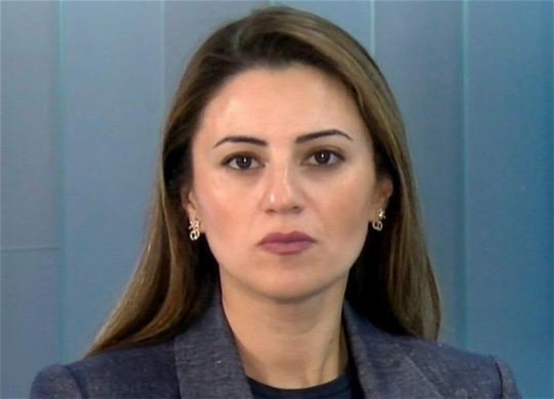 Sevinc Fətəliyeva: “Fransa haqsız olaraq Azərbaycanı ittiham etməyə davam edir”