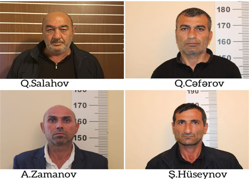 В Азербайджане задержан рецидивист, выращивавший сотни кустов конопли